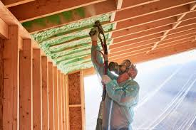 Best Wall Insulation Installation  in Johnson Creek, WI